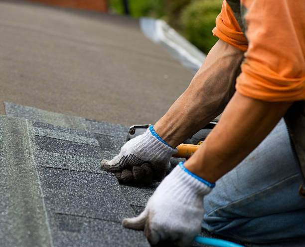 Roof Gutter Cleaning in Black Earth, WI