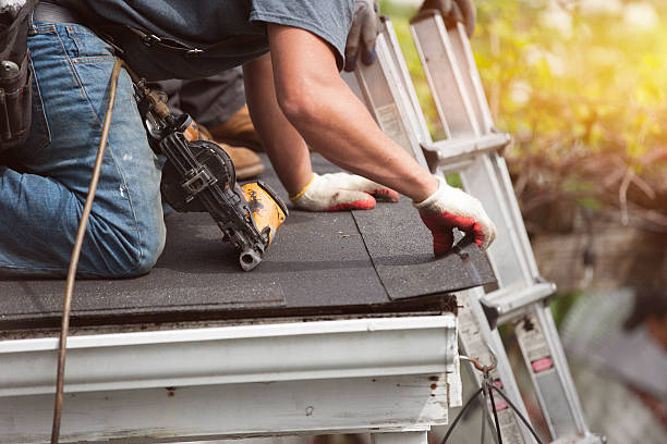 Best Roof Gutter Cleaning  in Black Earth, WI